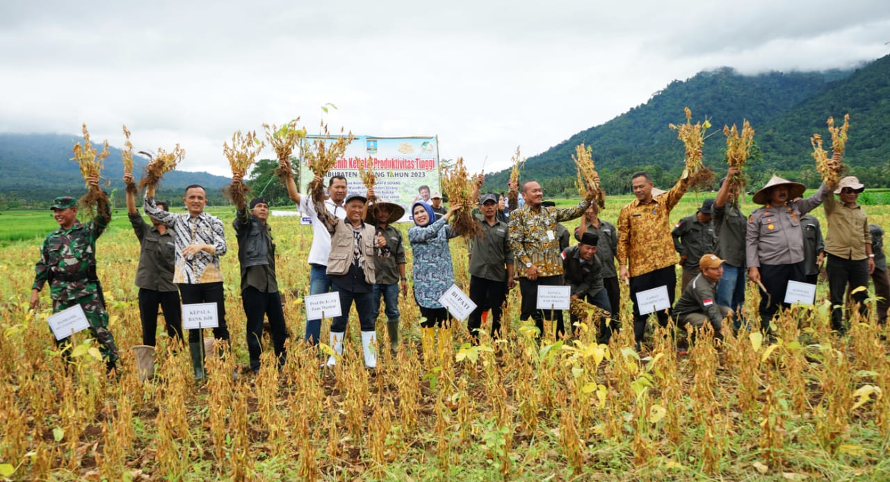 gambar berita lainnya