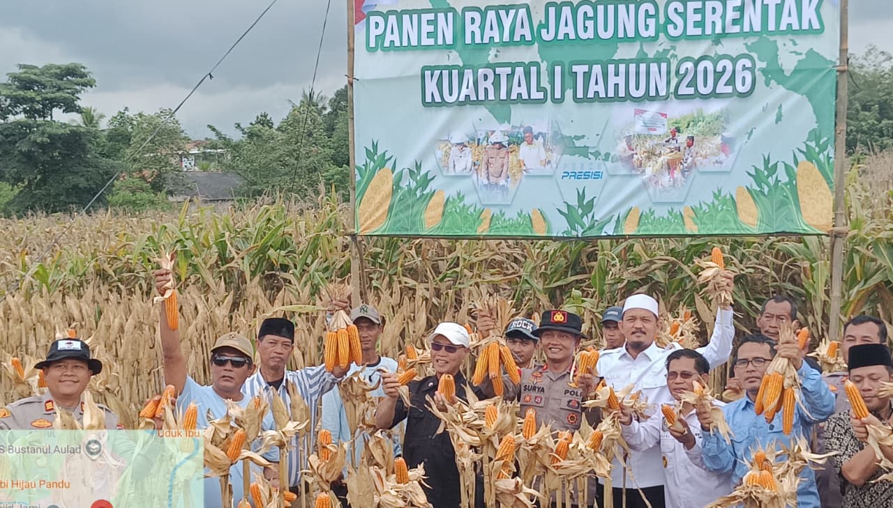Panen Raya Jagung di Kopo, DKPP Kabupaten Serang Dukung Swasembada dan Petani yang Mandiri